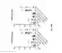 Fig. 29 - NEWCASTLE DISEASE VIRUSES AND USES THEREOF