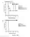Fig. 34 - NEWCASTLE DISEASE VIRUSES AND USES THEREOF