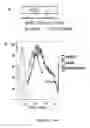 Fig. 35 - NEWCASTLE DISEASE VIRUSES AND USES THEREOF