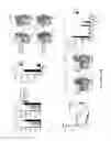 Fig. 42 - NEWCASTLE DISEASE VIRUSES AND USES THEREOF