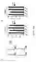 Fig. 46 - NEWCASTLE DISEASE VIRUSES AND USES THEREOF
