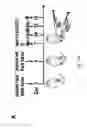 Fig. 59 - NEWCASTLE DISEASE VIRUSES AND USES THEREOF