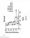 Fig. 61 - NEWCASTLE DISEASE VIRUSES AND USES THEREOF