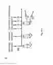 Fig. 75 - NEWCASTLE DISEASE VIRUSES AND USES THEREOF