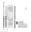 Fig. 83 - NEWCASTLE DISEASE VIRUSES AND USES THEREOF