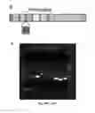 Fig. 85 - NEWCASTLE DISEASE VIRUSES AND USES THEREOF