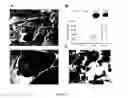 Fig. 03 - Use of photosynthetic scaffolds in tissue engineering