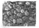 Fig. 01 - Siraitiae fructus product and preparation method thereof