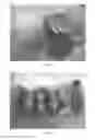 Fig. 03 - Siraitiae fructus product and preparation method thereof
