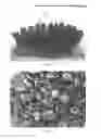 Fig. 04 - Siraitiae fructus product and preparation method thereof