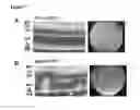 Fig. 08 - Methods for modulating development and function of photoreceptor cells
