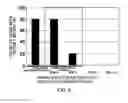 Fig. 05 - Oral composition containing interferon-α