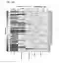 Fig. 13 - Attenuated chlamydia vaccine