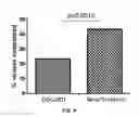 Fig. 05 - Compositions and methods to treat AIDS