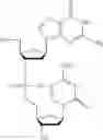 Fig. 22 - DRUG COMBINATIONS