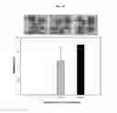 Fig. 09 - Polysaccharide fraction originating in persimmon leaf with immunostimulating activation and antitumor activation and method for manufacturing same