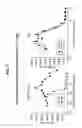 Fig. 22 - M-CSF specific monoclonal antibody and uses therof
