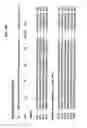 Fig. 33 - M-CSF specific monoclonal antibody and uses therof