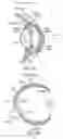 Fig. 02 - INJECTABLE COMBINATION THERAPY FOR EYE DISORDERS