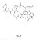 Fig. 10 - INJECTABLE COMBINATION THERAPY FOR EYE DISORDERS