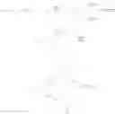 Fig. 46 - Peptide-dendrimer conjugates and uses thereof