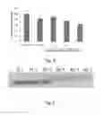 Fig. 04 - Lipid-Coated Albumin Nanoparticle Compositions and Methods of Making and Method of Using the Same