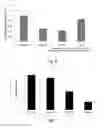 Fig. 05 - Lipid-Coated Albumin Nanoparticle Compositions and Methods of Making and Method of Using the Same