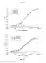 Fig. 13 - Constructs Binding to Phosphatidylserine and Their Use in Disease Treatment and Imaging
