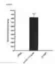 Fig. 16 - Constructs Binding to Phosphatidylserine and Their Use in Disease Treatment and Imaging
