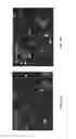 Fig. 29 - Constructs Binding to Phosphatidylserine and Their Use in Disease Treatment and Imaging