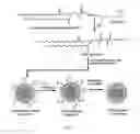 Fig. 18 - Heteromultivalent particle compositions