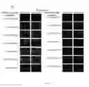 Fig. 32 - Heteromultivalent particle compositions