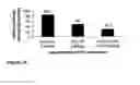 Fig. 04 - Constructs containing multiple expression cassettes for cancer therapy