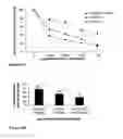Fig. 08 - Constructs containing multiple expression cassettes for cancer therapy