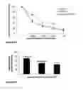 Fig. 11 - Constructs containing multiple expression cassettes for cancer therapy