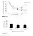 Fig. 17 - Constructs containing multiple expression cassettes for cancer therapy