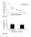 Fig. 18 - Constructs containing multiple expression cassettes for cancer therapy