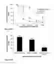 Fig. 35 - Constructs containing multiple expression cassettes for cancer therapy