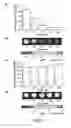 Fig. 06 - Luciferin derivatives from bicyclic reactants and aminothiol derivatives and methods of use thereof