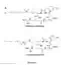 Fig. 04 - Vinylsulfone-based 18F-labeling compositions and methods and uses thereof