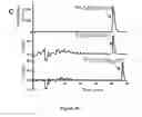 Fig. 07 - Vinylsulfone-based 18F-labeling compositions and methods and uses thereof