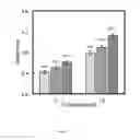 Fig. 09 - Magnesium-calcium Silicate Bone Cement, Matrix Powder thereof and Producing Method Thereof
