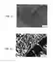 Fig. 03 - DRUG COATING LAYER