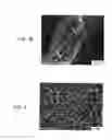 Fig. 05 - DRUG COATING LAYER