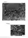 Fig. 06 - DRUG COATING LAYER