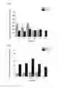 Fig. 06 - Drug Composition and Coating