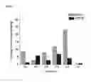 Fig. 05 - Drug Composition and Coating