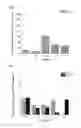 Fig. 07 - Drug Composition and Coating