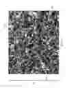 Fig. 06 - Foam structure wound inserts for directional granulation