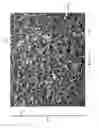 Fig. 07 - Foam structure wound inserts for directional granulation